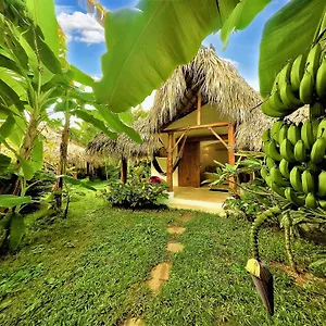 3* Bed & Breakfast Casa Picaflor